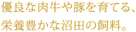 大地の豊かさそのままに。 こだわり配合の粉製品を お届けします。