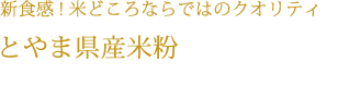 新食感！米どころならではのクオリティとやま県産米粉